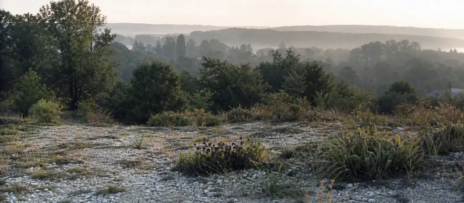 Vue depuis un jardin de plateau à Ballan-Miré vers la vallée en contrebas, premier plan de sol clair calcaire et végétation basse
