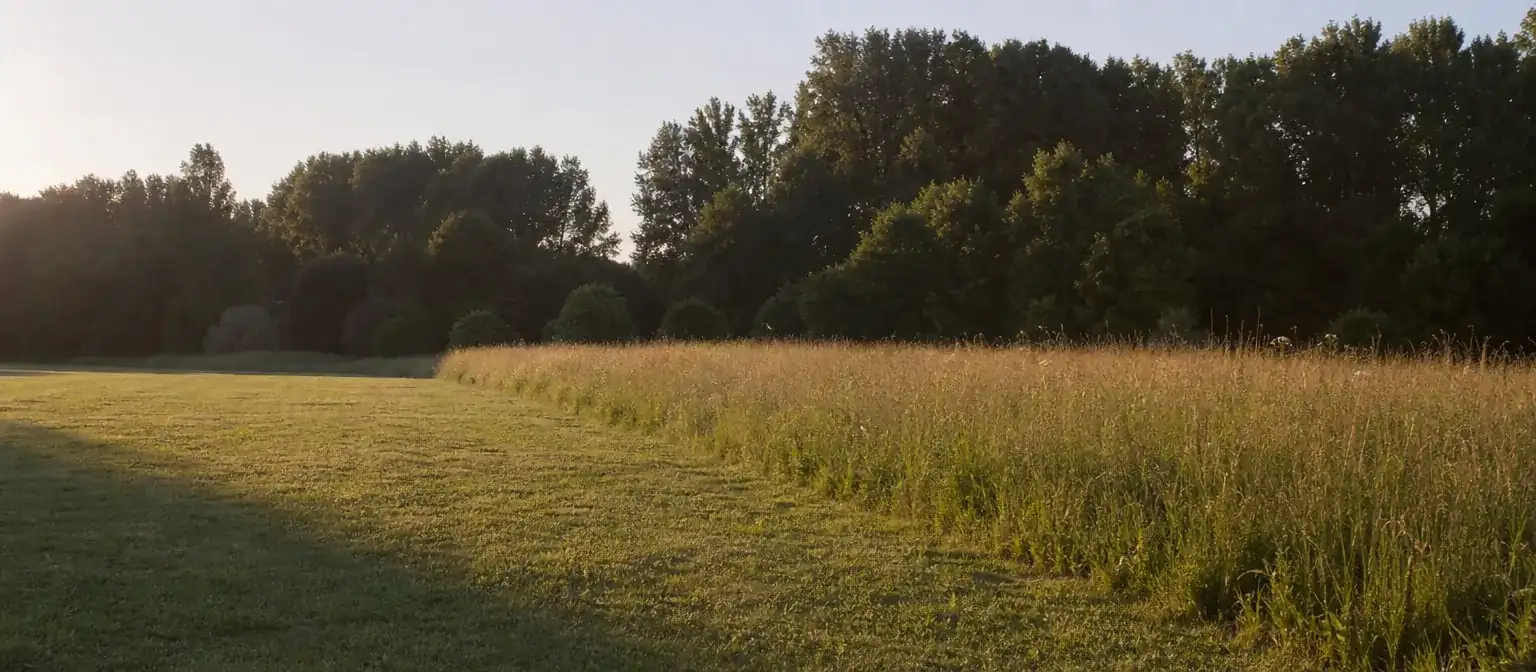Prairie de fond de vallée à Veigné avec zone tondue au premier plan et herbe haute laissée derrière, transition nette entre les deux